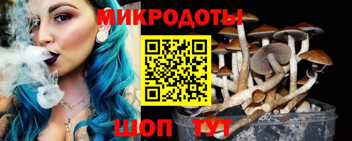 Псилоцибиновые грибы Cubensis Белгород