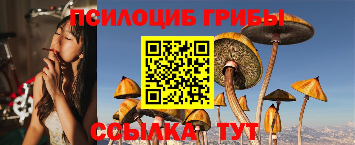 Белгород  Галлюциногенные грибы MAGIC MUSHROOMS  Вход с VPN 